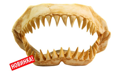 DEKSI Грот Череп динозавра 30х12х18 см